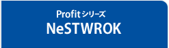 NeSTWORK